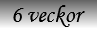 6 veckor 