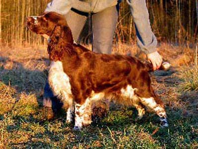 Image0004 Image0004