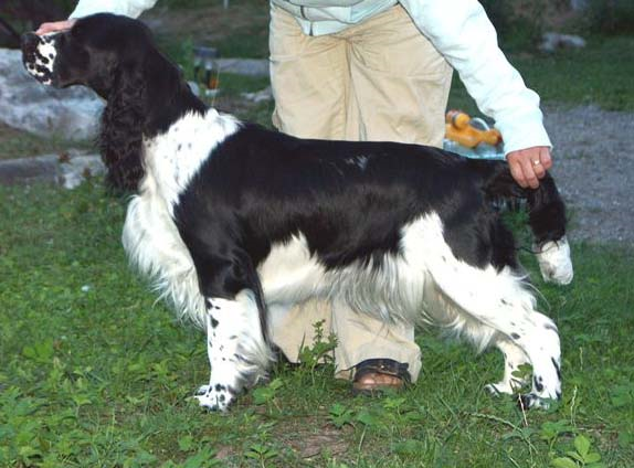 Image0002 Image0002
