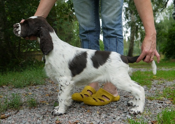 Image0001